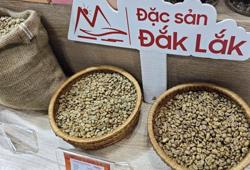 Sốc nặng với giá cà phê Robusta