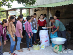 Buôn Đôn: Trên 300 lao động nông thôn được hỗ trợ đào tạo nghề