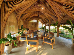 Giải pháp bền vững chống biến đổi khí hậu