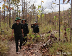 Công tác quản lý, bảo vệ rừng còn nhiều khó khăn