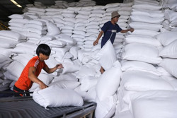 Vì sao phải nhập khẩu gạo?