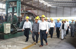 Toàn tỉnh có 859 doanh nghiệp giải thể và tạm ngừng hoạt động