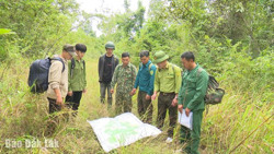 Gian nan quản lý rừng giáp ranh