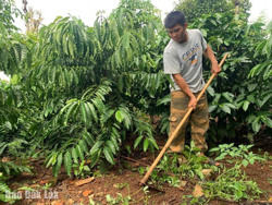 “Chắp cánh” cho thanh niên khởi nghiệp