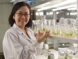 Công nghệ chỉnh sửa gen, xu hướng của nông nghiệp toàn cầu