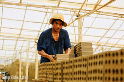 Hỗ trợ xóa bỏ lò gạch thủ công: Chia sẻ khó khăn, giảm thiệt hại cho cơ sở sản xuất