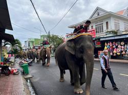 Hình ảnh 7 con voi diễu hành tiễn biệt "vua voi" Tây Nguyên