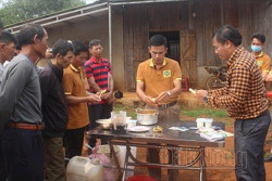 Tự sản xuất phân hữu cơ – Đỡ lo phân bón dởm