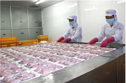 3 quyền lợi của người lao động đóng BHXH dưới 20 năm