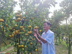 Tìm cách cung ứng nông sản an toàn