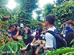 Xác lập bản sắc văn hóa cà phê