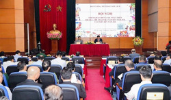 Tìm hướng phát triển cho thể thao Việt Nam