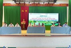 Đắk Nông bàn giải pháp trồng hồ tiêu giảm phát thải khí nhà kính