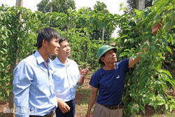 Thi đua từ những công trình, phần việc thiết thực