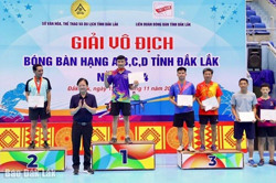 Giải Vô địch bóng bàn hạng A, B, C, D tỉnh năm 2024