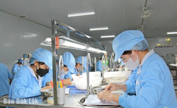 Nghề nuôi chim yến phát triển “nóng”: Giải pháp nào để phát triển bền vững?