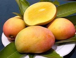 8 lợi ích sức khỏe tuyệt vời của quả xoài