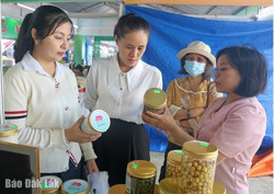 Thắt chặt kết nối, tiêu thụ sản phẩm OCOP