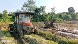 Vụ Đông Xuân 2024 - 2025: Chủ động ứng phó với nguy cơ thiếu nước sản xuất