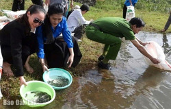 Thả 14.000 con cá giống xuống hồ thủy lợi Ea Drăng