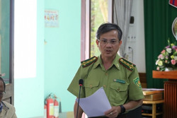 Cấp bách phục hồi rừng bị phá và lấn chiếm