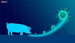 Cục Y tế dự phòng chỉ đạo khẩn sau 4 ca tử vong do cúm A(H1N1)pdm tại Bình Định