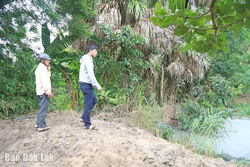 Ám ảnh ô nhiễm từ các trang trại nuôi heo