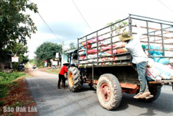 Phân loại rác thải tại nguồn: Cần đồng bộ tất cả các khâu