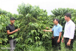 9 chính sách hỗ trợ phát triển hợp tác xã từ 1/11/2024