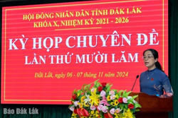 Khai mạc Kỳ họp Chuyên đề lần thứ 15, HĐND tỉnh khóa X