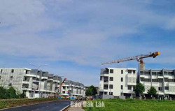 Gia hạn Dự án đô thị sinh thái văn hóa cà phê Suối Xanh