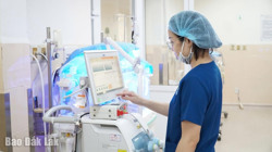 Bệnh vàng da ở trẻ sơ sinh và những lưu ý trong điều trị