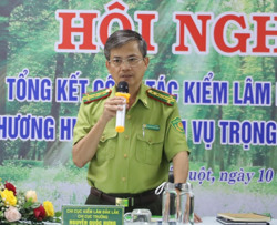 Trồng rừng đạt 234% kế hoạch