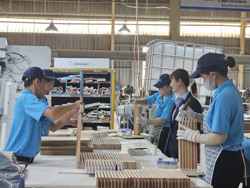 Lạc quan với thưởng Tết