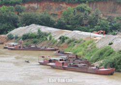 Tội phạm về môi trường giảm