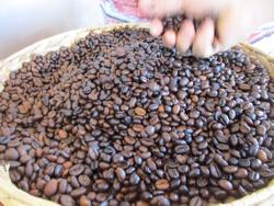 Giá cà phê hôm nay 11-12 lại tăng tiếp, muốn đầu cơ cũng khó