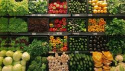 Xuất khẩu rau quả Việt Nam năm 2024 sẽ đạt 7,2 tỷ USD