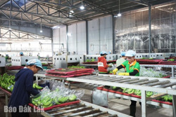 Tết Nguyên đán năm 2025: Doanh nghiệp thưởng tết cao nhất dự kiến 94 triệu đồng