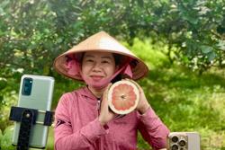 Đưa nông sản lên sàn thương mại điện tử