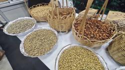 Giá cà phê hôm nay 17-12: Bất ngờ thị trường Trung Quốc