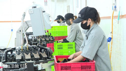 Huyện Krông Búk: Khai thác lợi thế, đẩy mạnh thu hút đầu tư