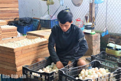 Huyện Lắk có thêm hai sản phẩm OCOP