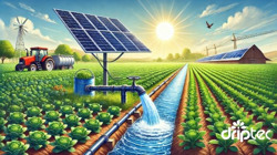 Hướng dẫn chọn máy bơm tưới cây 