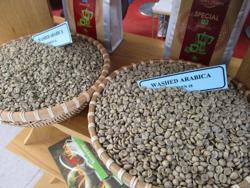 Giá cà phê hôm nay 19-12: Robusta tiếp tục giảm nhưng Arabica tăng