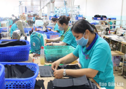 Phân bổ trên 99,5 tỷ đồng thực hiện Chương trình giảm nghèo bền vững