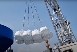 Xuất khẩu gạo Việt Nam lần đầu vượt 5 tỷ USD