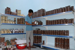 Thanh niên với khát vọng làm giàu