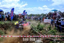 Hai hoạt động thể thao hấp dẫn sẽ diễn ra tại Lễ hội Cà phê Buôn Ma Thuột lần thứ 9