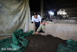 “Tiếp sức” nông dân tiếp cận tiến bộ khoa học kỹ thuật