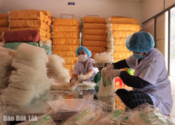 Làng nghề truyền thống hối hả vào vụ Tết